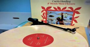 Read more about the article Curtis Harding “If Words Were Flowers” (2021)