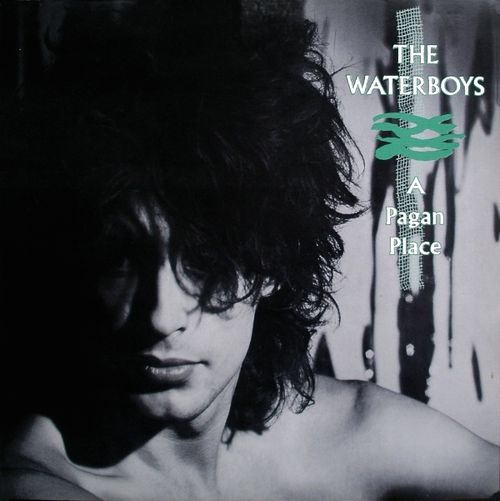 The Waterboys ‎– A Pagan Place